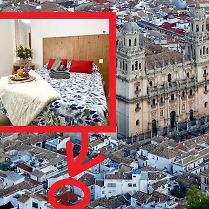  Apartamento Catedral Del Aove, Centro Historico, Espacioso Y Tranquilo